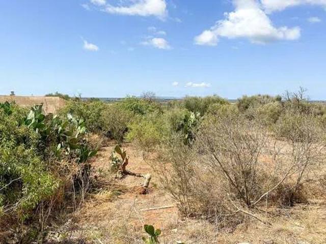 Terreno en Venta en Ses Salines