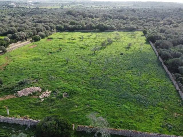 Terreno en Venta en Ses Salines