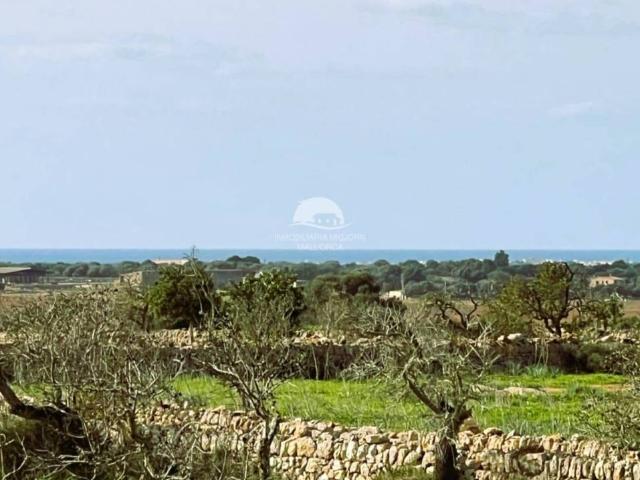 Terreno en Venta en Ses Salines