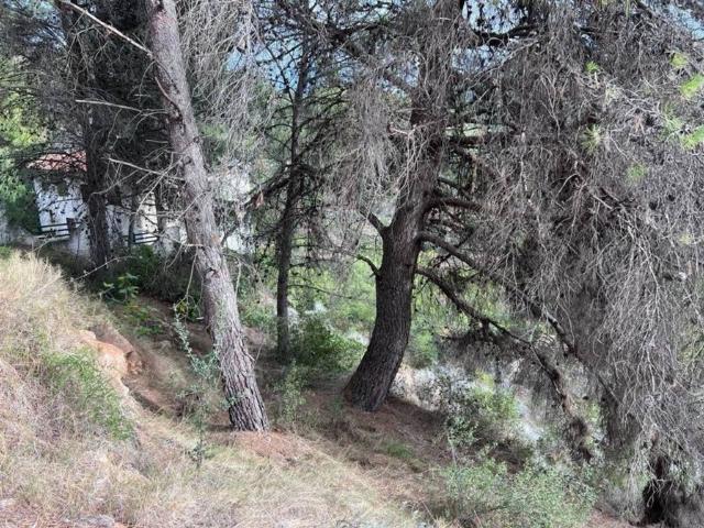 Terreno en Venta en Serra