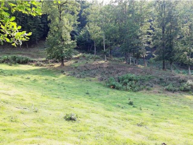 Terreno en Venta en Seva
