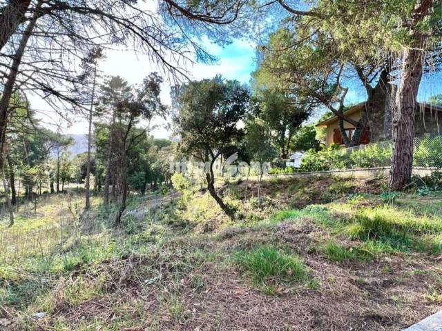 Terreno en Venta en Seva