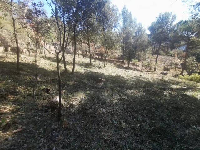 Terreno en Venta en Seva