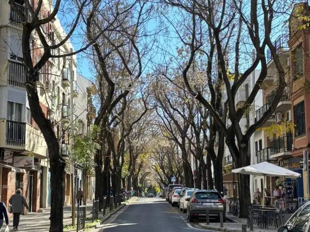 Terreno en Venta en Sevilla