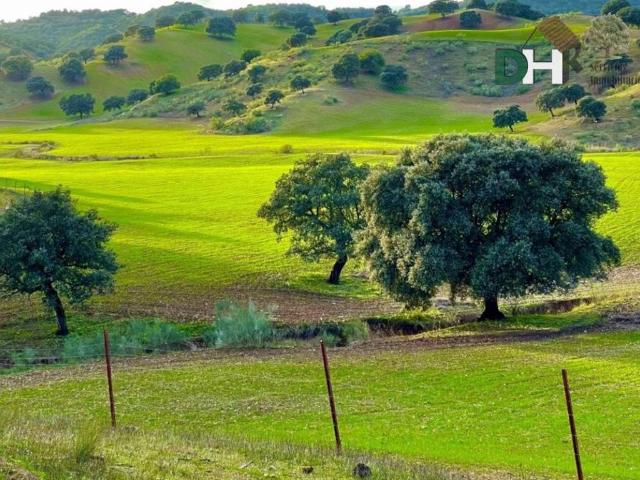 Terreno en Venta en Sevilla