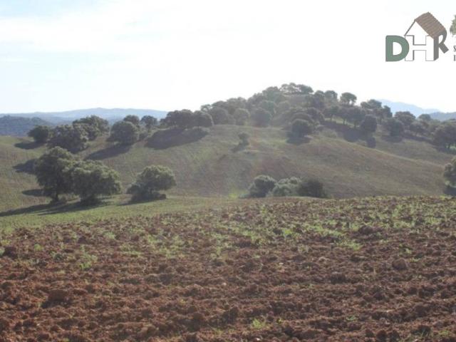 Terreno en Venta en Sevilla