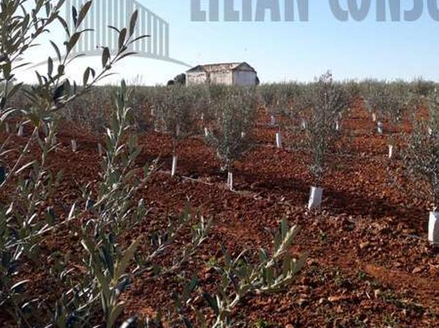 Terreno en venta en Sevilla, Carmona