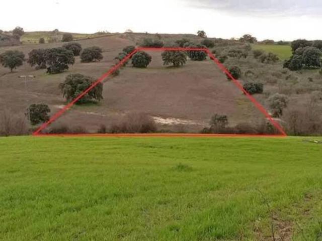 Terreno en Venta en Sevilla la Nueva