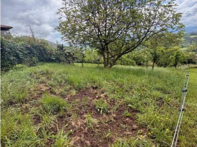 Terreno en Venta en Siero