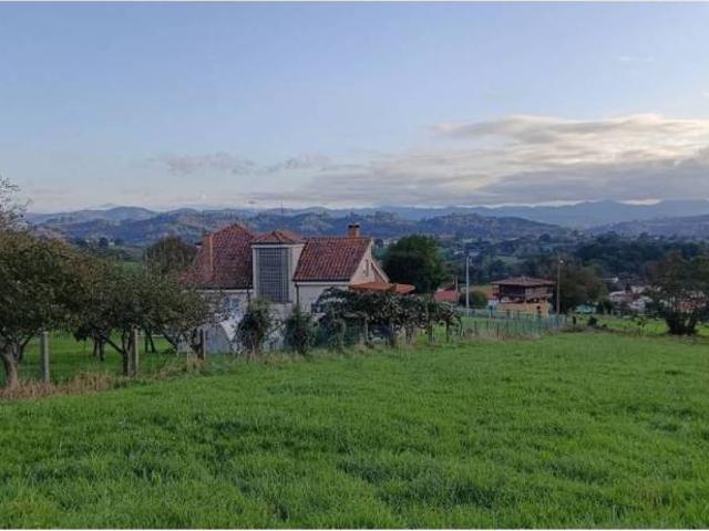 Terreno en Venta en Siero