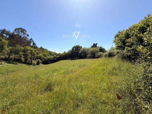 Terreno en Venta en Siero
