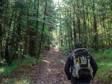 TERRENO EN VENTA EN SIERRA MAZATI, TAPALPA