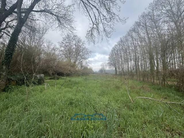 Terreno en Venta en Sils