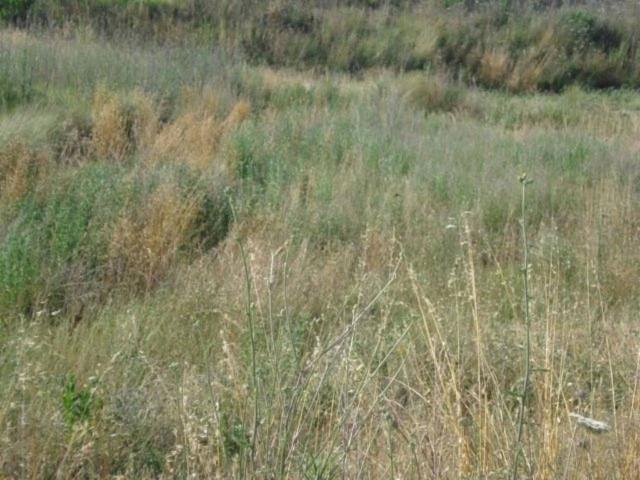 Terreno en venta en Sils, de 400 m² por 60.000