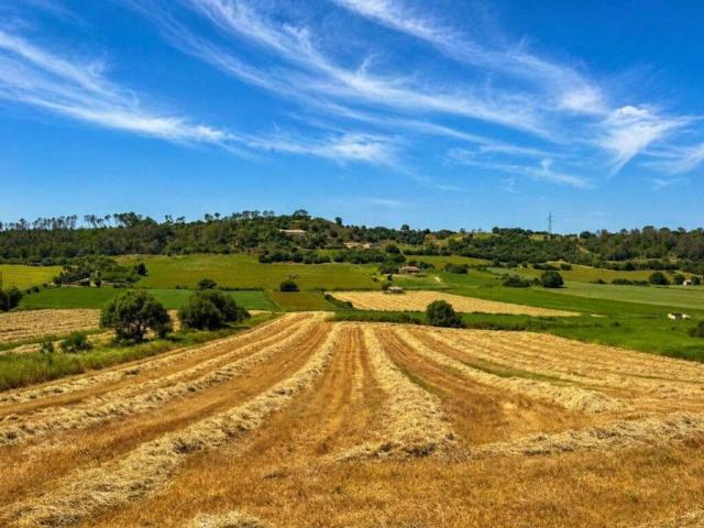 Terreno en Venta en Sineu