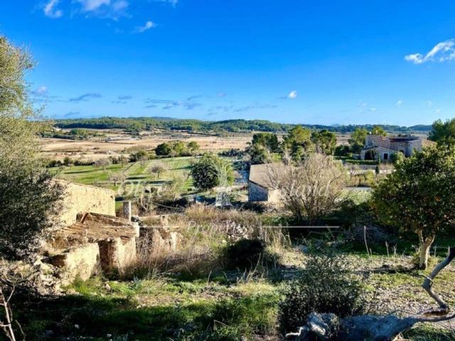 Terreno en Venta en Sineu