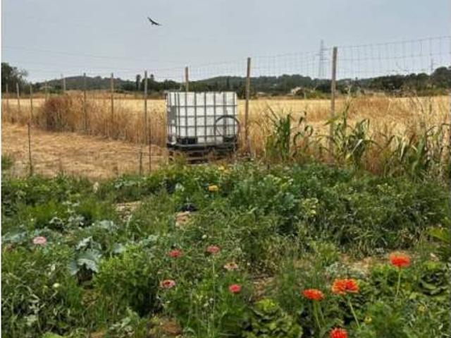 Terreno en Venta en Sineu