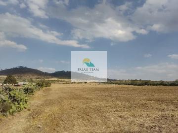 Terreno en venta en Singuilucan Centro, Singuilucan, Hidalgo