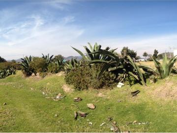 Terreno en Singuilucan Centro, Singuilucan, Hidalgo