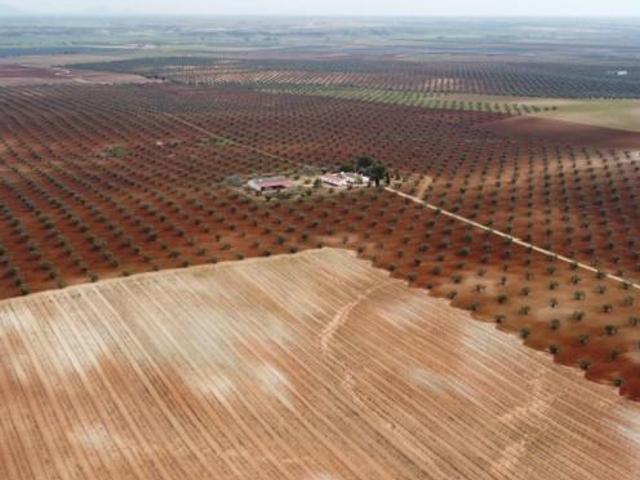 Terreno en venta en Solana de los Barros, Extremadura