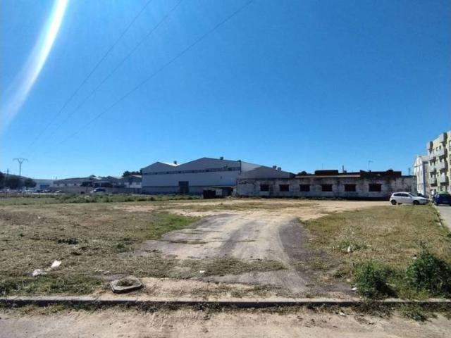 Terreno en Venta en Sollana