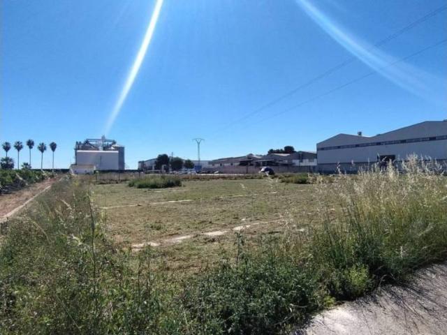 Terreno en Venta en Sollana