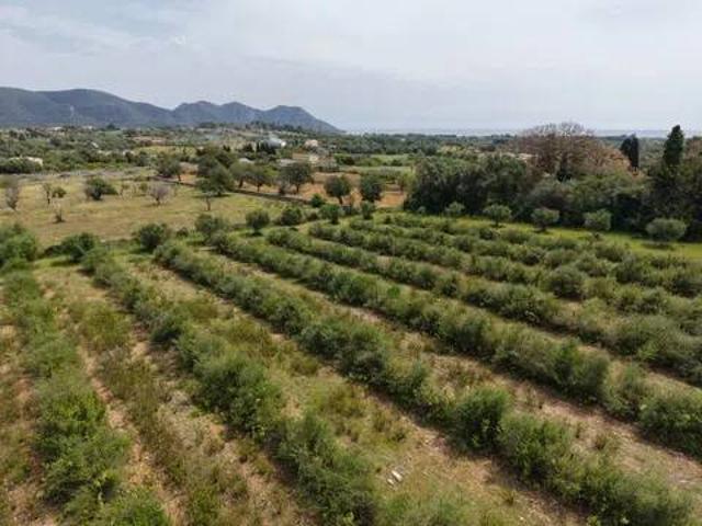 Terreno en Venta en Son Servera