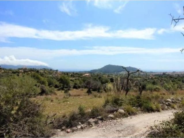Terreno en Venta en Son Servera