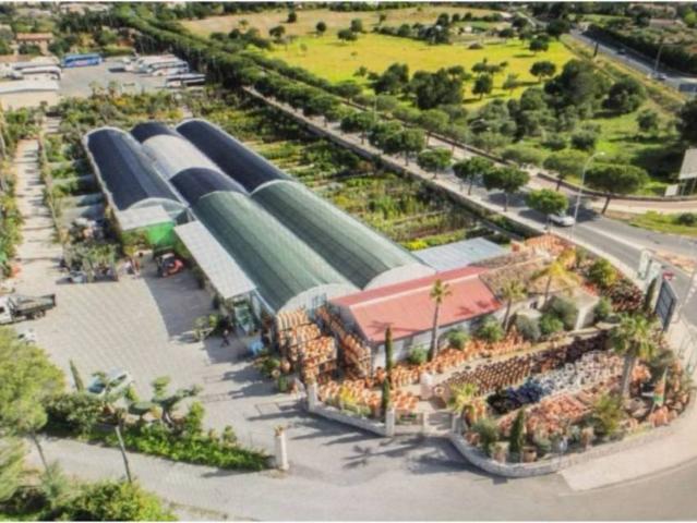 Terreno en Venta en Son Servera