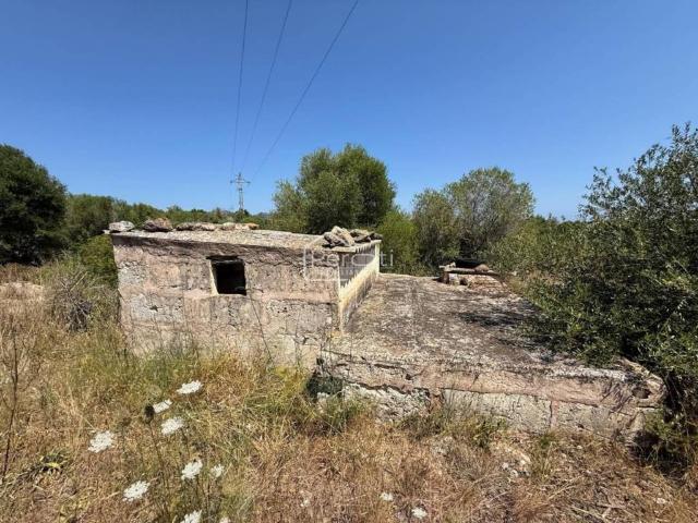 Terreno en Venta en Son Servera