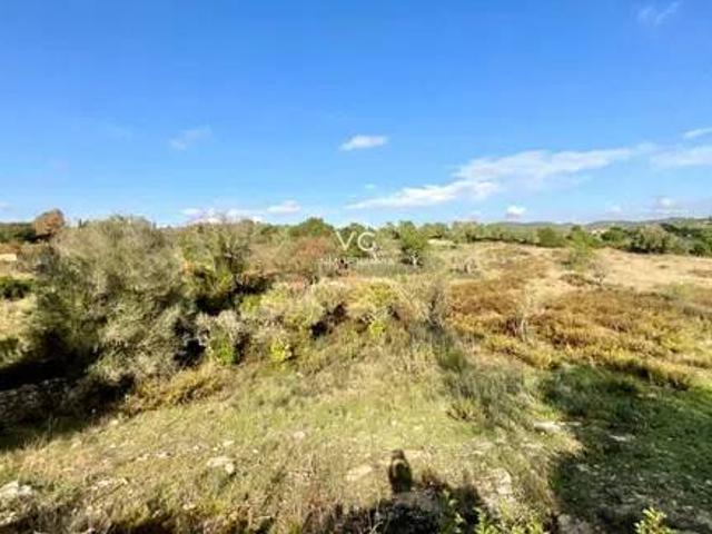 Terreno en Venta en Son Servera