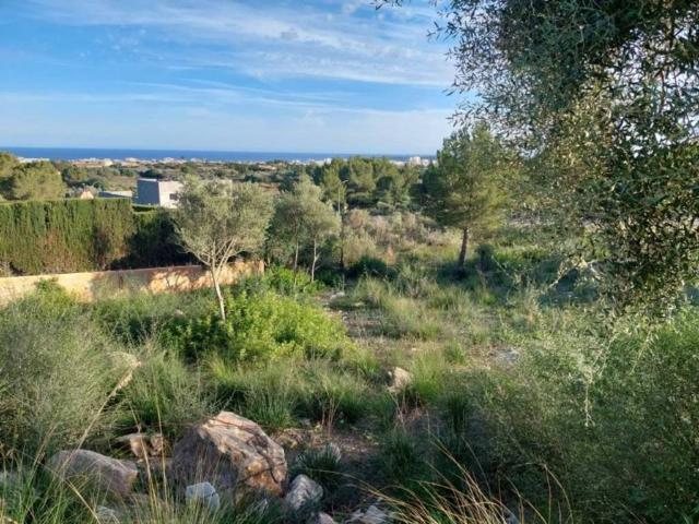 Terreno en Venta en Son Servera