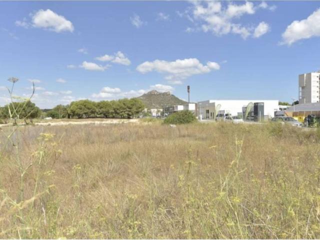 Terreno en Venta en Son Servera