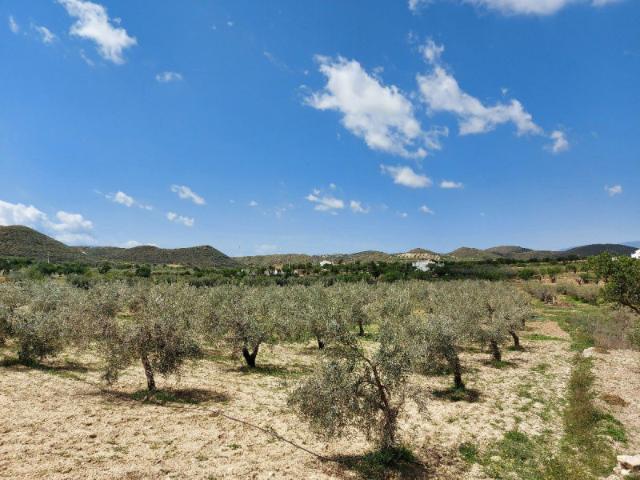 Terreno en venta en Sorbas, Sorbas
