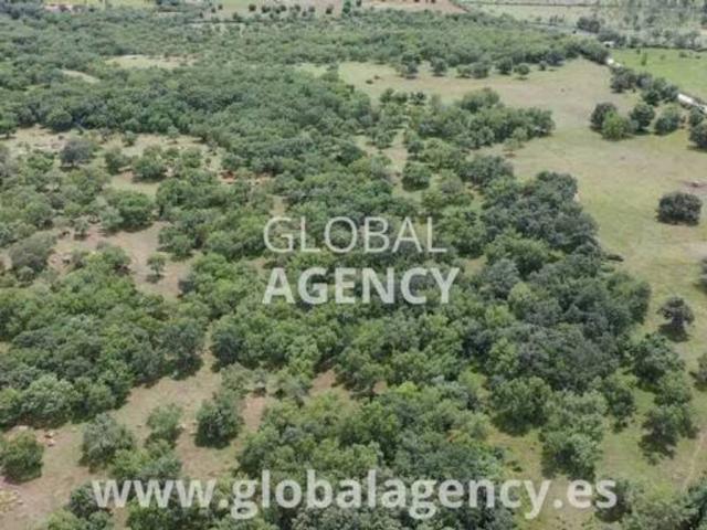 Terreno en Venta en Soto del Real