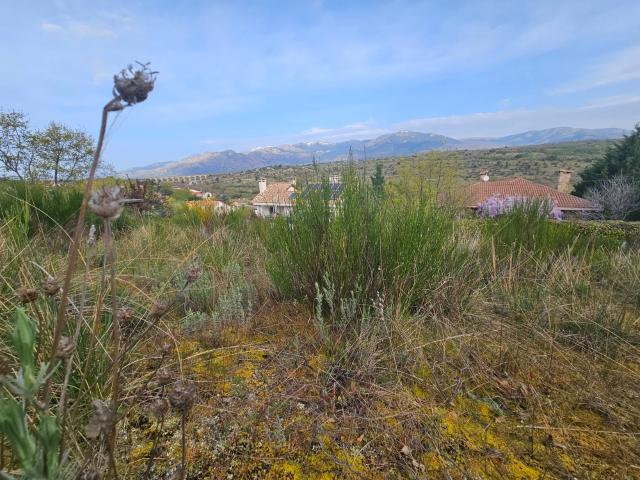 Terreno en venta en Soto del Real