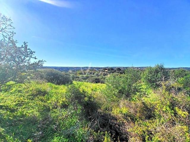 Terreno en venta en Sotogrande, Calle Lavanda en La Reserva de Sotogran…, 11310