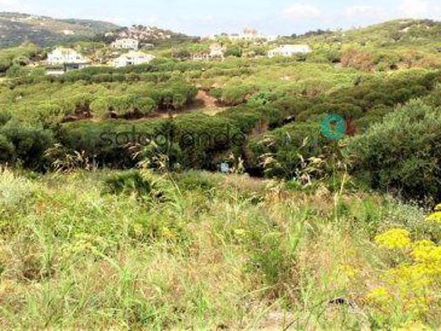 Terreno en venta en Sotogrande, Sotogrande