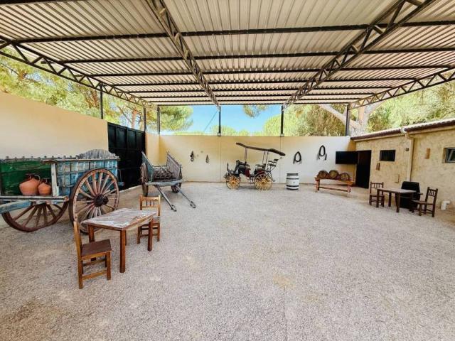 Terreno en Venta en Tudela de Duero