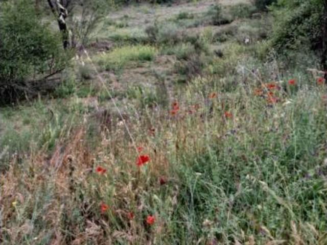 Terreno en Venta en Tudela de Duero
