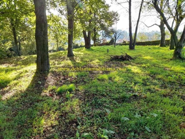 Terreno en Venta en Tui