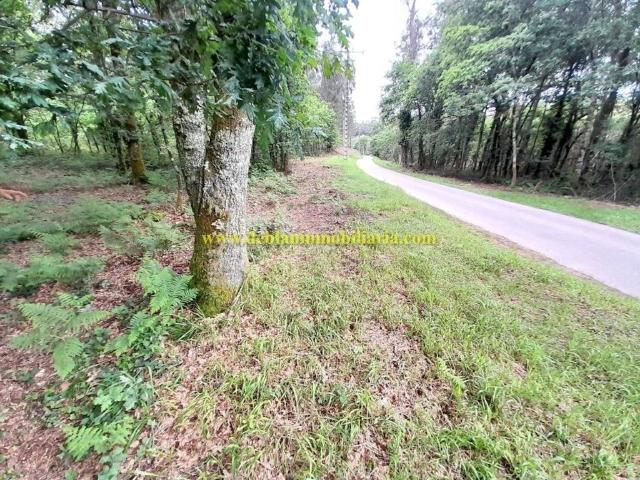Terreno en Venta en Tui