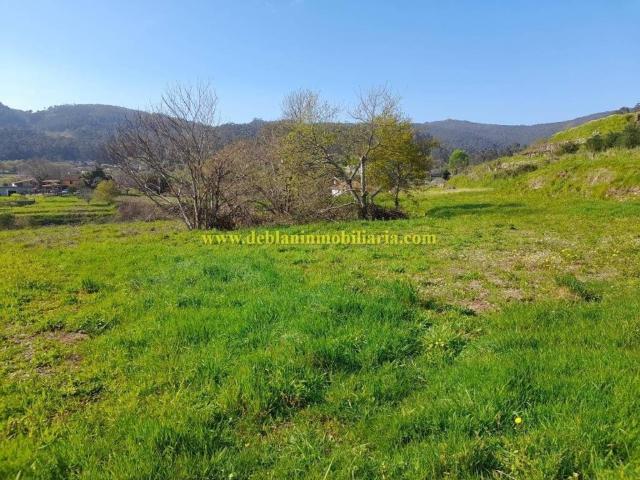 Terreno en Venta en Tui