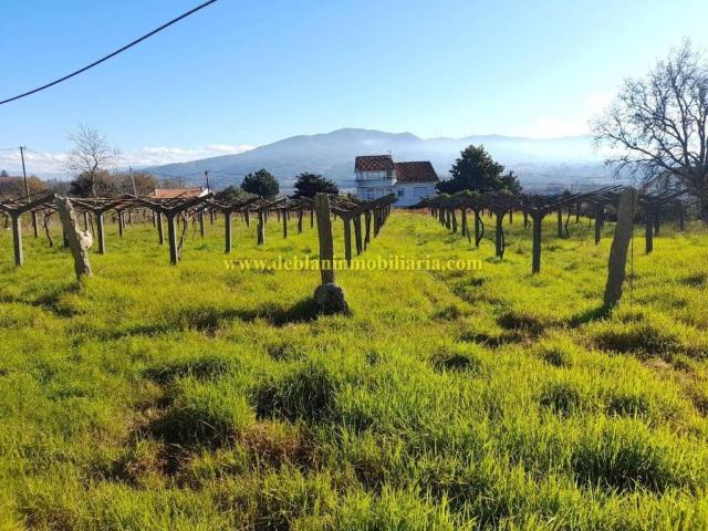 Terreno en Venta en Tui
