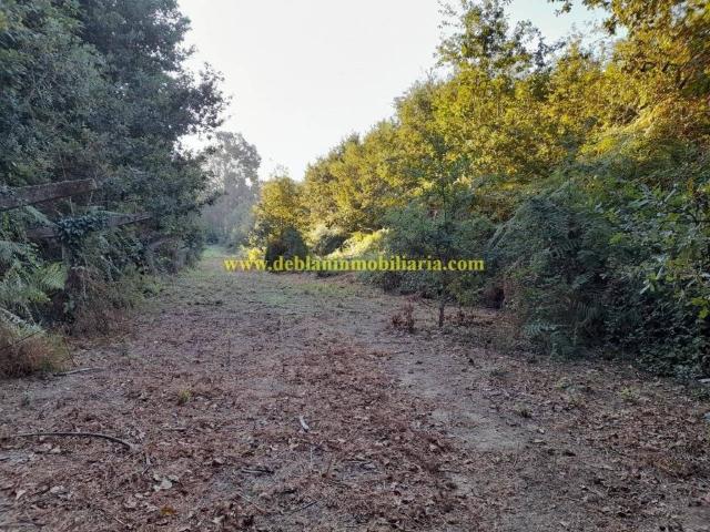Terreno en Venta en Tui