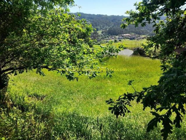 Terreno en Venta en Tui