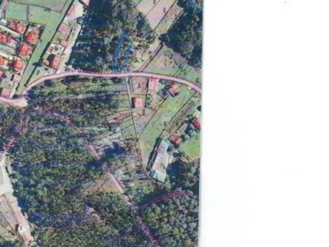 Terreno en Venta en Tui