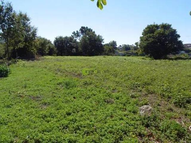 Terreno en Venta en Tui