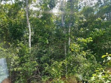 Terreno en Venta en Tulum Quintana Roo