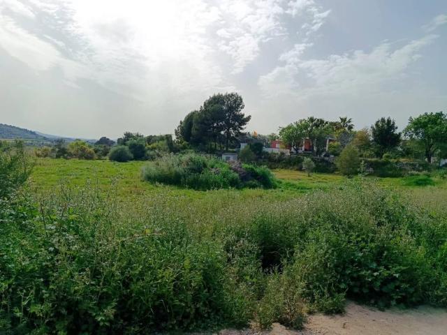 Terreno en Venta en Turís